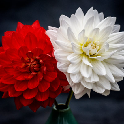 Nice Blog